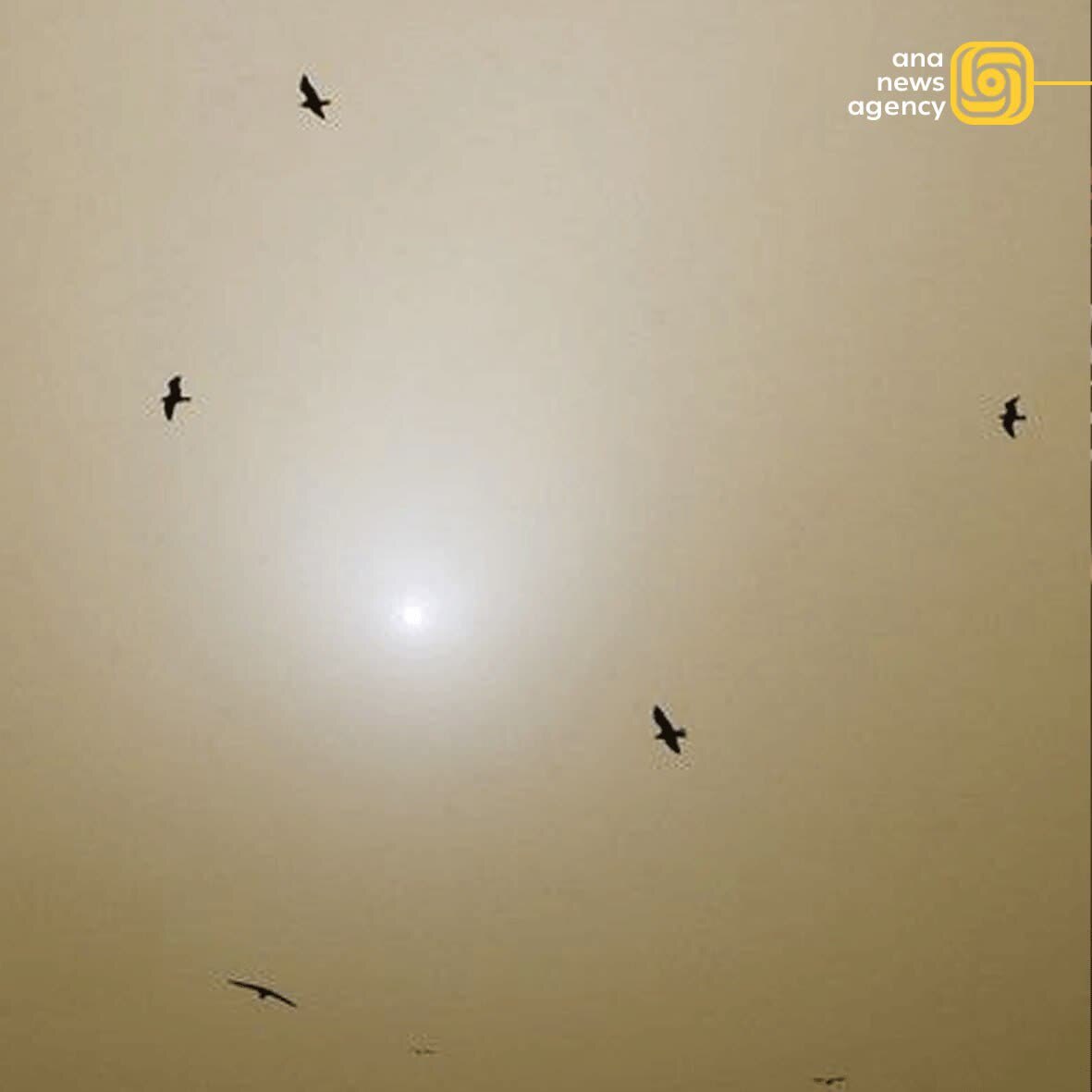 مهمترین رویدادهای استانهای کشور در ۱۲ تیر + فیلم و عکس مهمترین رویدادهای استانهای کشور در ۱۲ تیر + فیلم و عکس