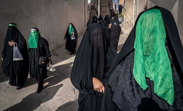 ایرانگردی با «آنا»؛ سفری به دلِ رویدادهای مهم استانها + فیلم و عکس ایرانگردی با «آنا»؛ سفری به دلِ رویدادهای مهم استانها + فیلم و عکس