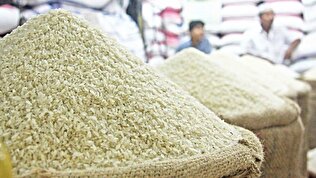 تدبیر دولت برای کنترل بازار برنج، ثبات قیمت در راه است