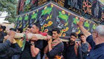 نجوای عشق و ایمان در نخلگردانی ۲۰۰ ساله فدافن