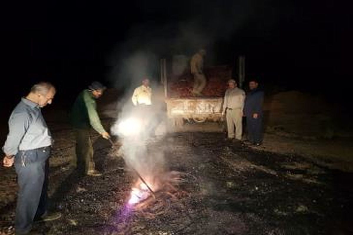 تشدید گشت و پایش شبانه‌ روزی محیط زیست در شهرری
