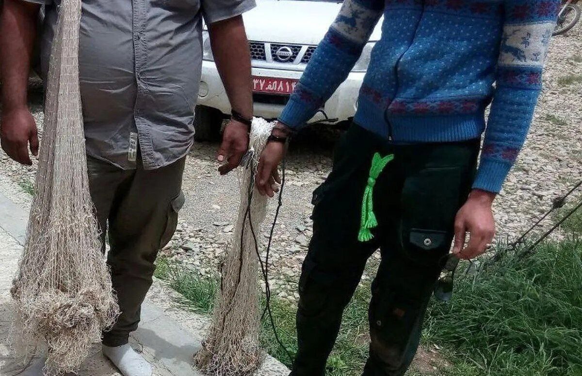 دستگیری ۳ گروه صیاد غیرمجاز در دریاچه تار دماوند ورود گردشگران تا اطلاع ثانوی ممنوع شد