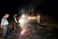 تشدید گشت و پایش شبانه روزی محیط زیست در شهرری