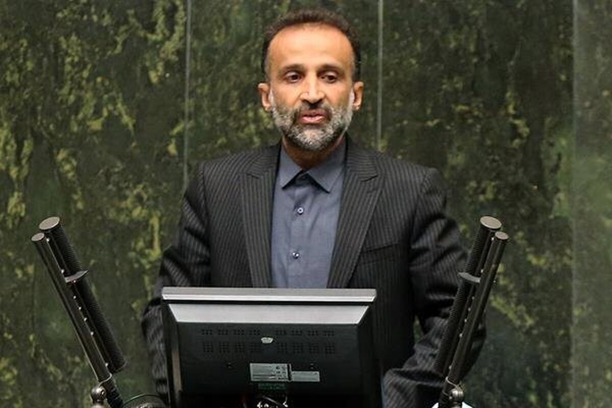 نجفی: خروج اتباع غیرمجاز موجب کاهش مصرف یارانهها میشود