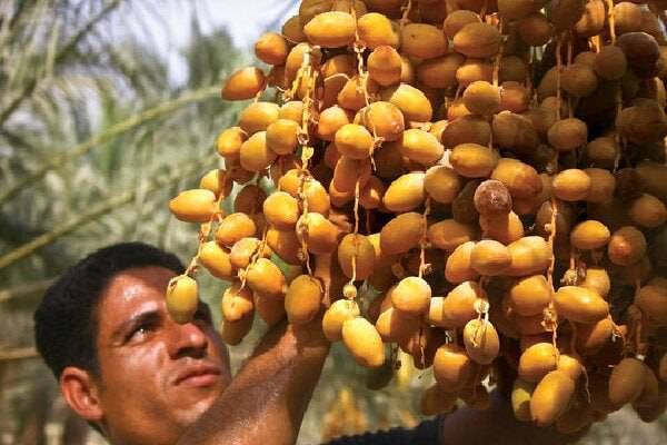 رویدادهای استانی از نگاه آنا + فیلم و عکس رویدادهای استانی از نگاه آنا + فیلم و عکس