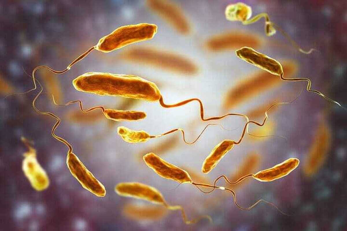 سایه وبا بر مرزهای شرقی؛ تأکید بر رعایت بهداشت فردی و مراقبتهای پیشگیرانه