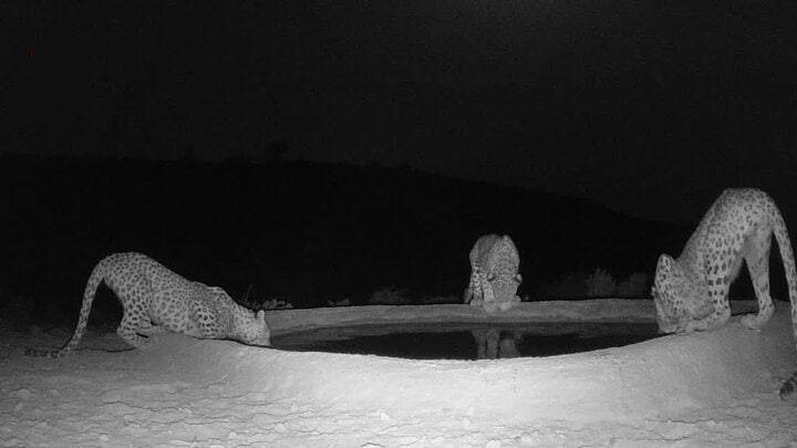 رویدادهای استانی از نگاه آنا + فیلم و عکس رویدادهای استانی از نگاه آنا + فیلم و عکس