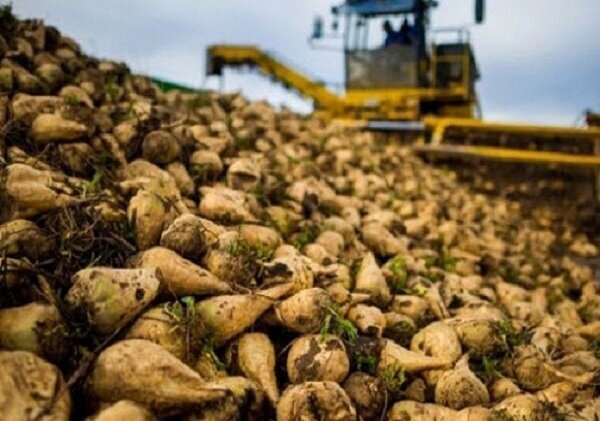 رویدادهای استانی از نگاه آنا رویدادهای استانی از نگاه آنا