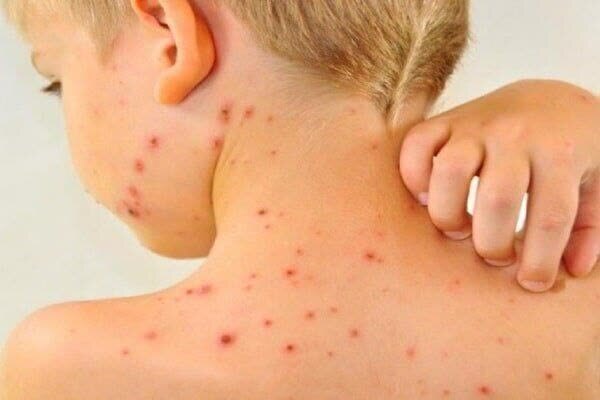 پنجره‌ای به سوی استان‌ها؛ روایت آنا از تحولات روز + فیلم و عکس