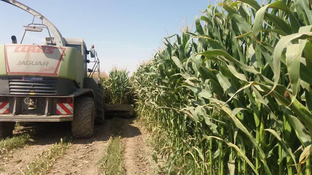 تربیت متخصصان کارآفرین در حوزه کشاورزی و صنایع غذایی با نگاه نوآورانه