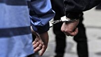 استرداد جاعل و کلاهبردار ۱۱ هزار میلیاردی به کشور