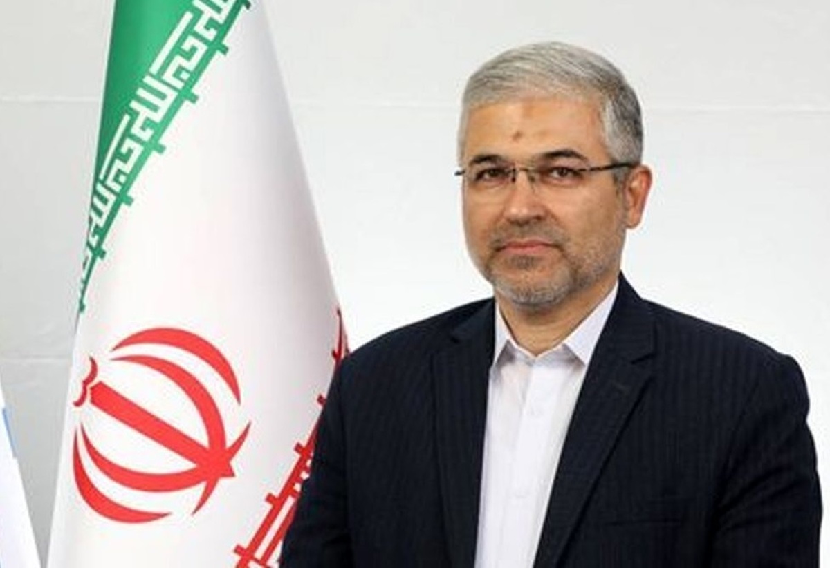 فلسفی: کشتار دامهای مولد امنیت غذایی را به خطر میاندازد