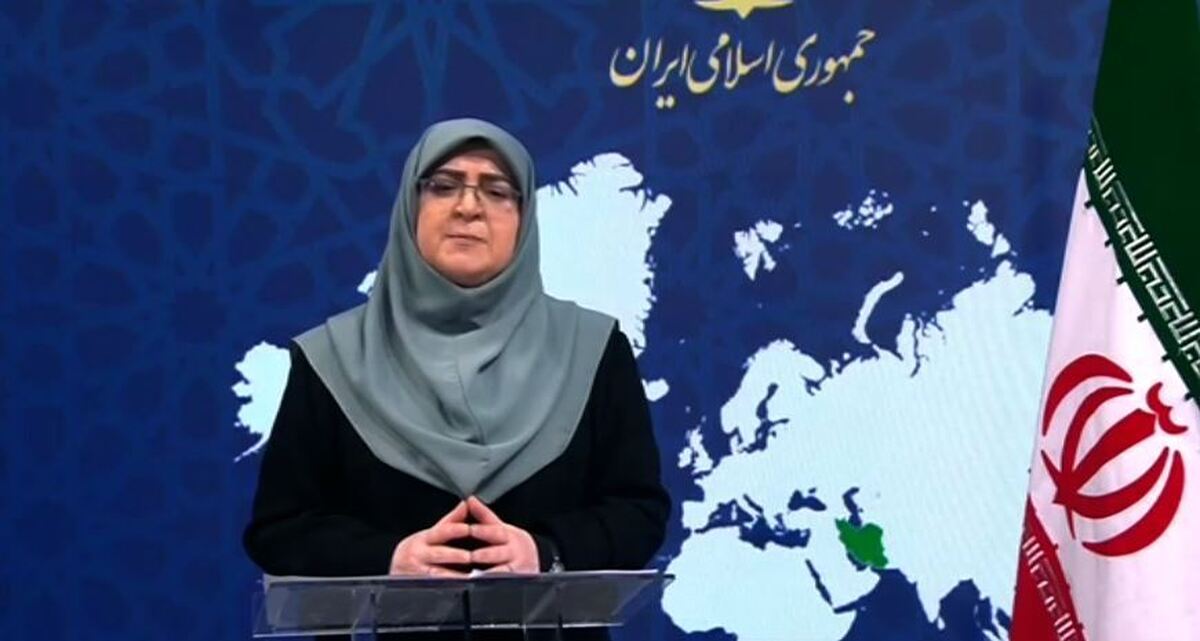 سخنگوی دولت: وضعیت پروازها از امروز به تدریج عادی میشود عادی شدن وضعیت اینترنت