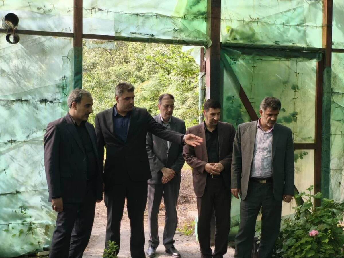جهش دانشگاهی؛ زیرساختهایی برای آموزش و خودکفایی