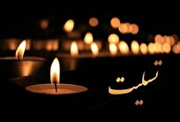 پیام تسلیت وزیر فرهنگ در پی درگذشت برادر آیتالله مصطفی هرندی