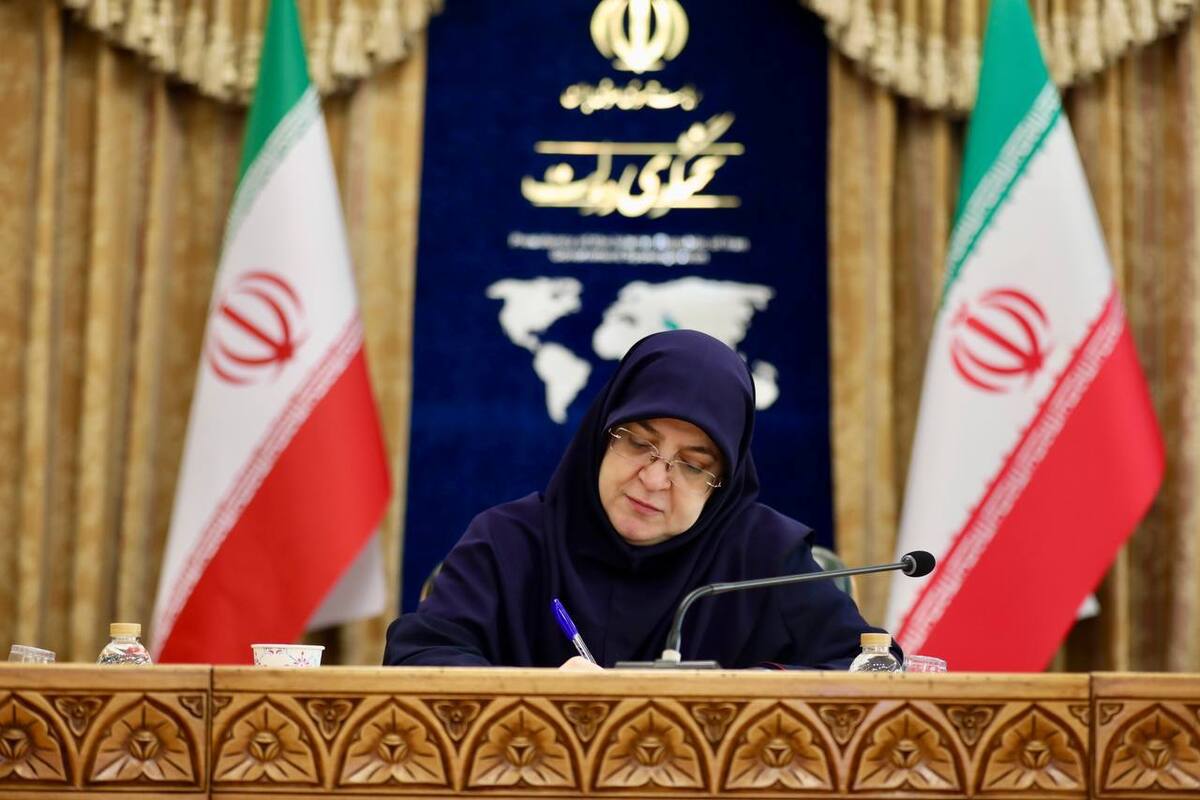 مهاجرانی: دولت بر اجرای مصوبات سفر اربعین نظارت دارد  برنامه‌ای برای تعطیلی کشور وجود ندارد