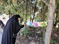 «درختان سخنگو» برای نخستینبار در دانشگاه آزاد