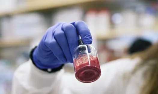 خون مصنوعی؛ امیدی نو برای نجات جان بیماران در شرایط بحرانی خون مصنوعی؛ امیدی نو برای نجات جان بیماران در شرایط بحرانی