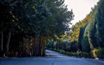 تملک-هفت-باغ-در-تهران-برای-تبدیل-به-بوستان-در-محلات-کم‌برخوردار