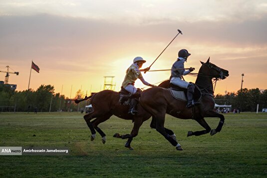 مسابقات لیگ ملی چوگان بانوان - جام لاله
