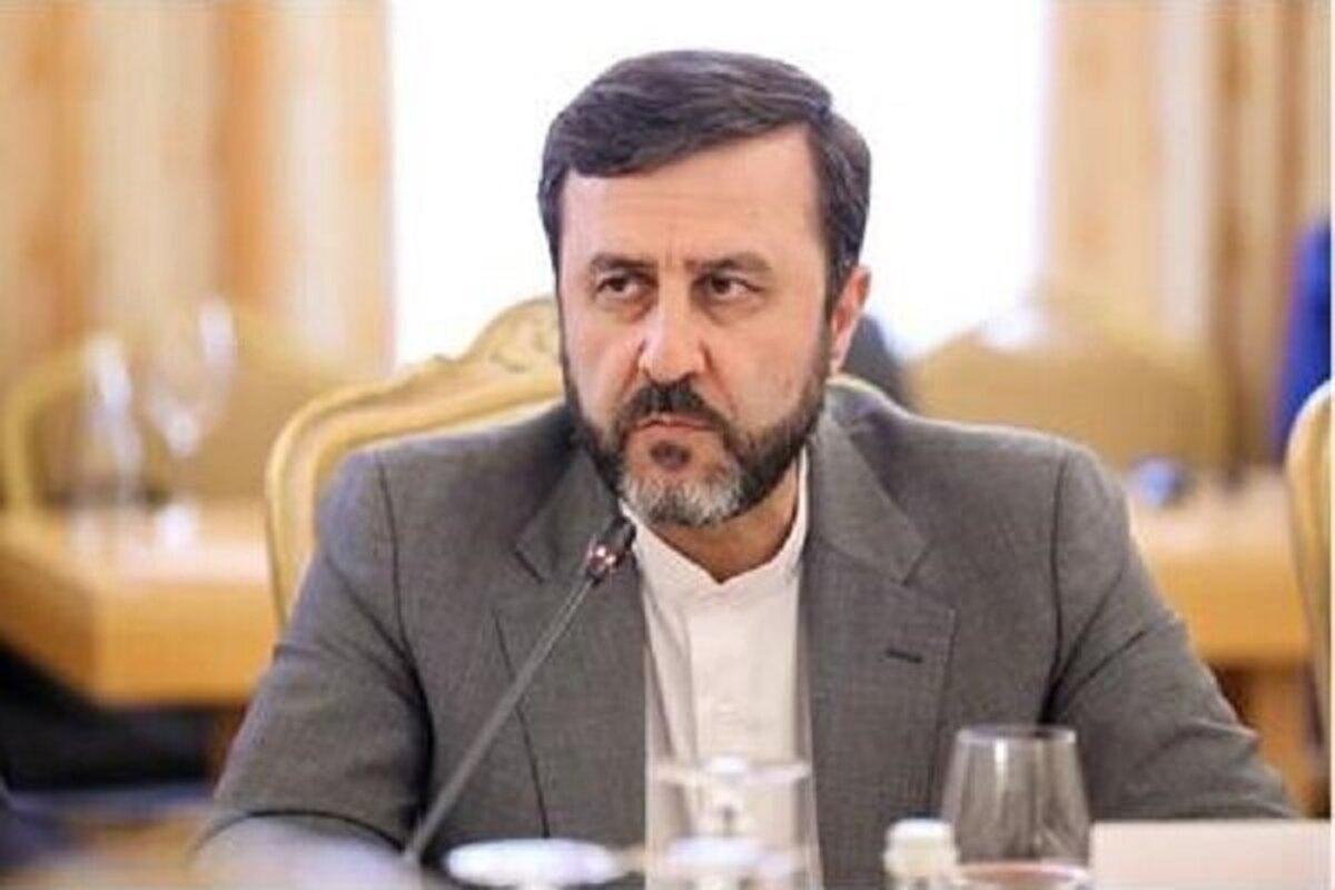 غریبآبادی: قرار شد رایزنیها با آژانس ادامه یابد