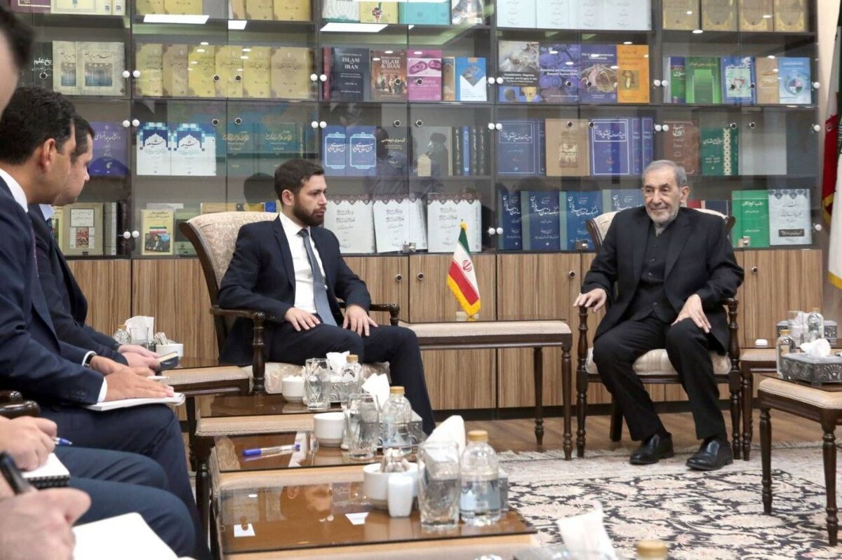 دیدار ولایتی با معاون وزیر خارجه ارمنستان