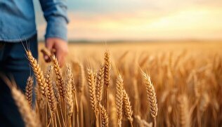 حذف سازمان حفظ نباتات؛ تهدیدی برای امنیت غذایی و تجارت کشاورزی