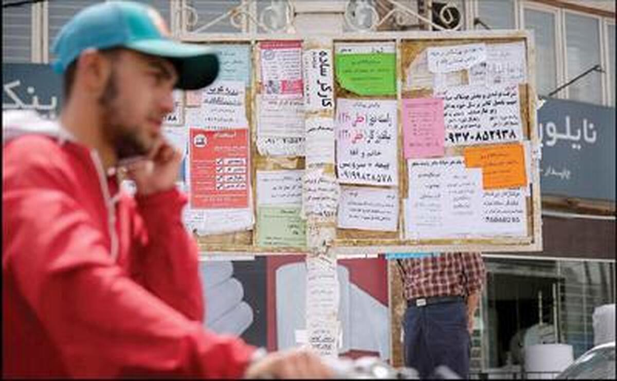 مدارک روی دیوار، جوانان منتظر کار؛ قصه نسلی که بین کنکور و آزمون‌ها جا ماند