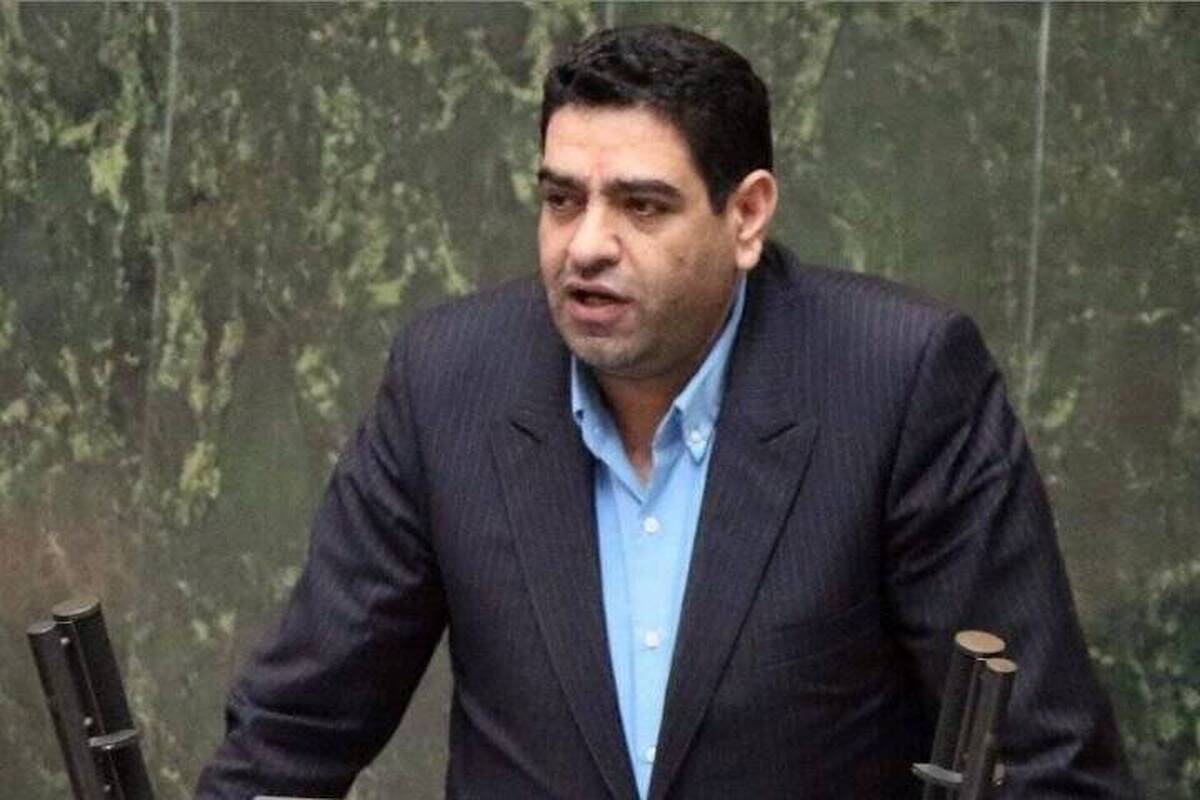 بیگدلی: توزیع یارانه پنهان عادلانه نیست