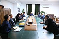 برگزاری نشست کمیته ملی المپیک با مسئولان فدراسیون ورزش‌های رزمی/ تقاوت MMA مسابقات بحرین با رشته مرسوم