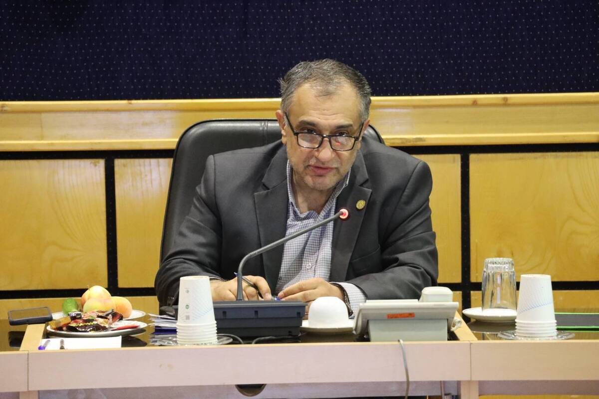 تجریشی: اصلاح مدیریت منابع در دانشگاه‌ها برای تأثیرگذاری ملی ضرورت جدی است