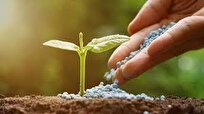 چراغ قرمز برای صنایع کود/ آیا کشاورزی ایران با کمبود کود مواجه می‌شود؟