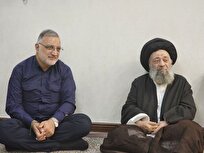 تشکر نماینده مجلس خبرگان رهبری از اقدامات شهردار تهران به ویژه بازسازی