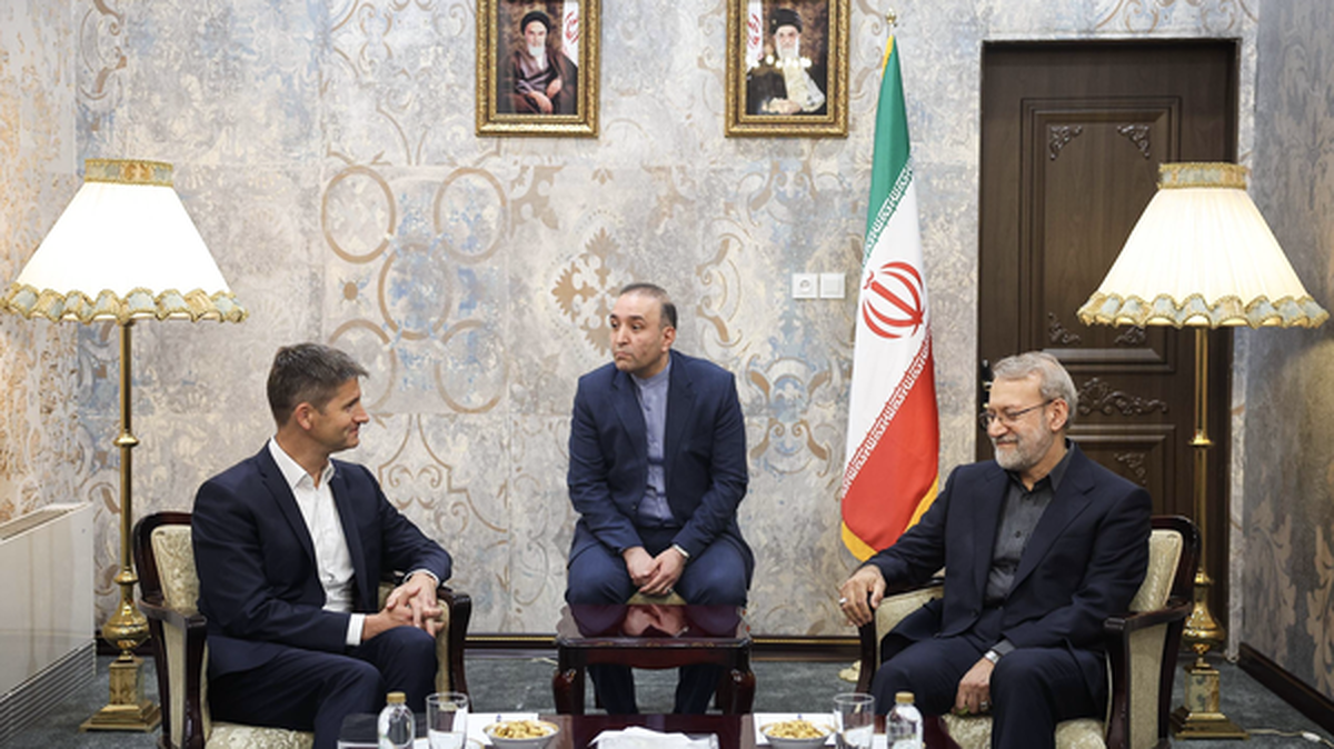 دیدار مشاور امنیت ملی سوئیس با لاریجانی
