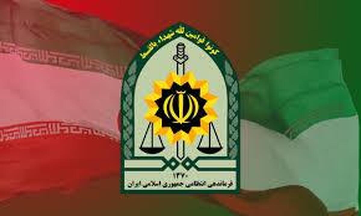 کشف تعداد زیادی ریزپرنده و بیسیم دستی صحت ندارد