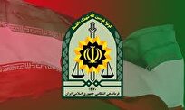 کشف تعداد زیادی ریزپرنده و بیسیم دستی صحت ندارد