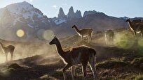 تماشای-مستند-بهشت-برین-سیاره-رام-نشده
