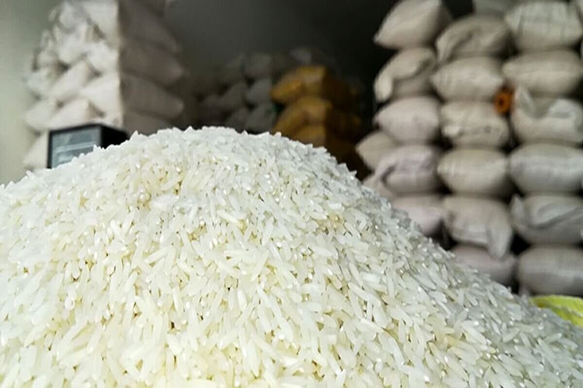 نگرانی از شلوغکاری نمایندگان شمالی رئیس انجمن برنج: کاهش قیمتها در راه است