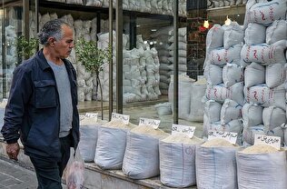 آشفتگی بازار و دندانگردی دلالان/ برنج کیلویی ۸۰ از کشاورز، ۳۰۰ از مردم!