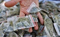 کشف ۶ کیلو گل و شیشه از قاچاقچی سابقه دار در غرب پایتخت