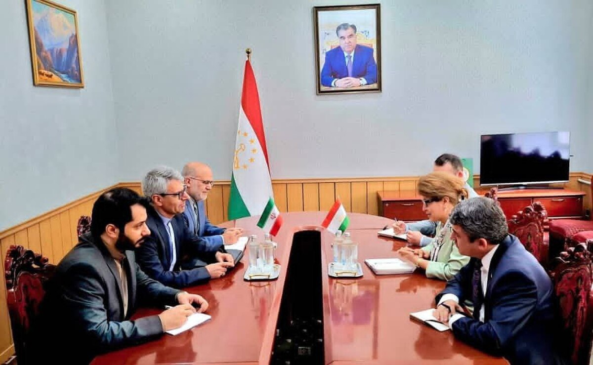 دیدار سخنگوی وزارت امور خارجه با وزیر فرهنگ تاجیکستان