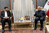 رئیس جمعیت هلال‌احمر کشورمان وارد عراق شد