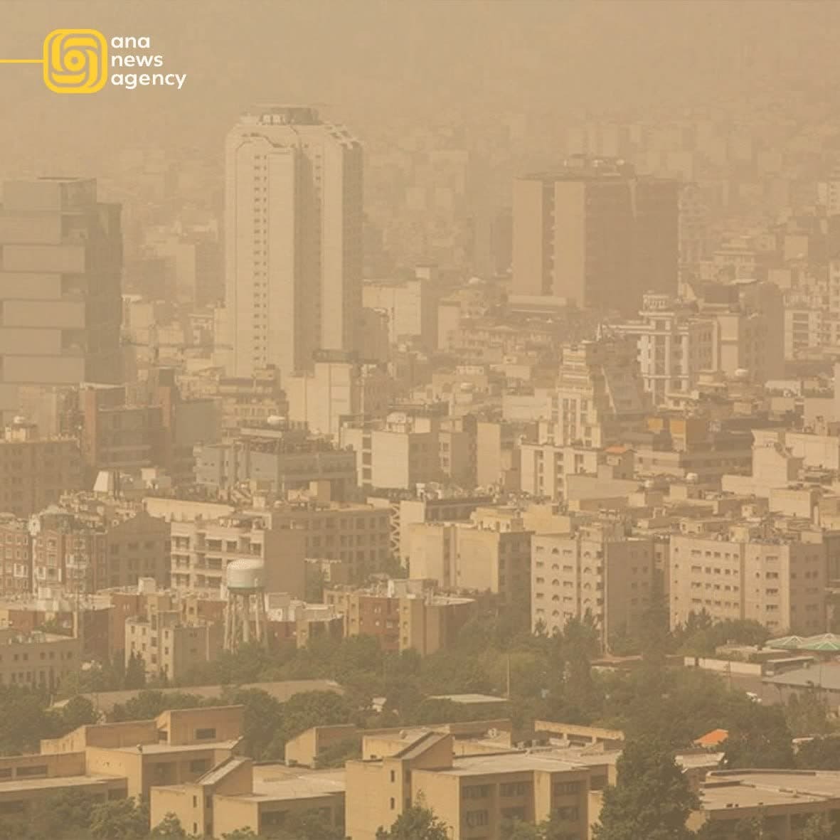 اخبار و رویدادهای استانی از نگاه آنا + فیلم و عکس اخبار و رویدادهای استانی از نگاه آنا + فیلم و عکس