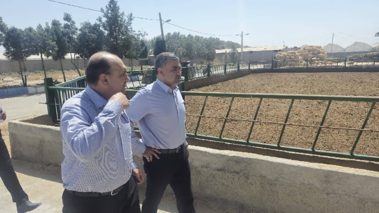 پیوند دانشگاه و بازار کار با رویکرد فناورانه؛ اهمیت تجربه عملی برای دانشجویان کشاورزی