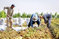 مرکز ملی پایش الگوی تولید کشاورزی با همکاری شرکت‌های دانش‌بنیان افتتاح شد