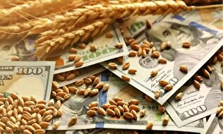 قیمت‌گذاری هوشمند گندم، راه کنترل اثرات مکانیسم ماشه بر بازار کشاورزی