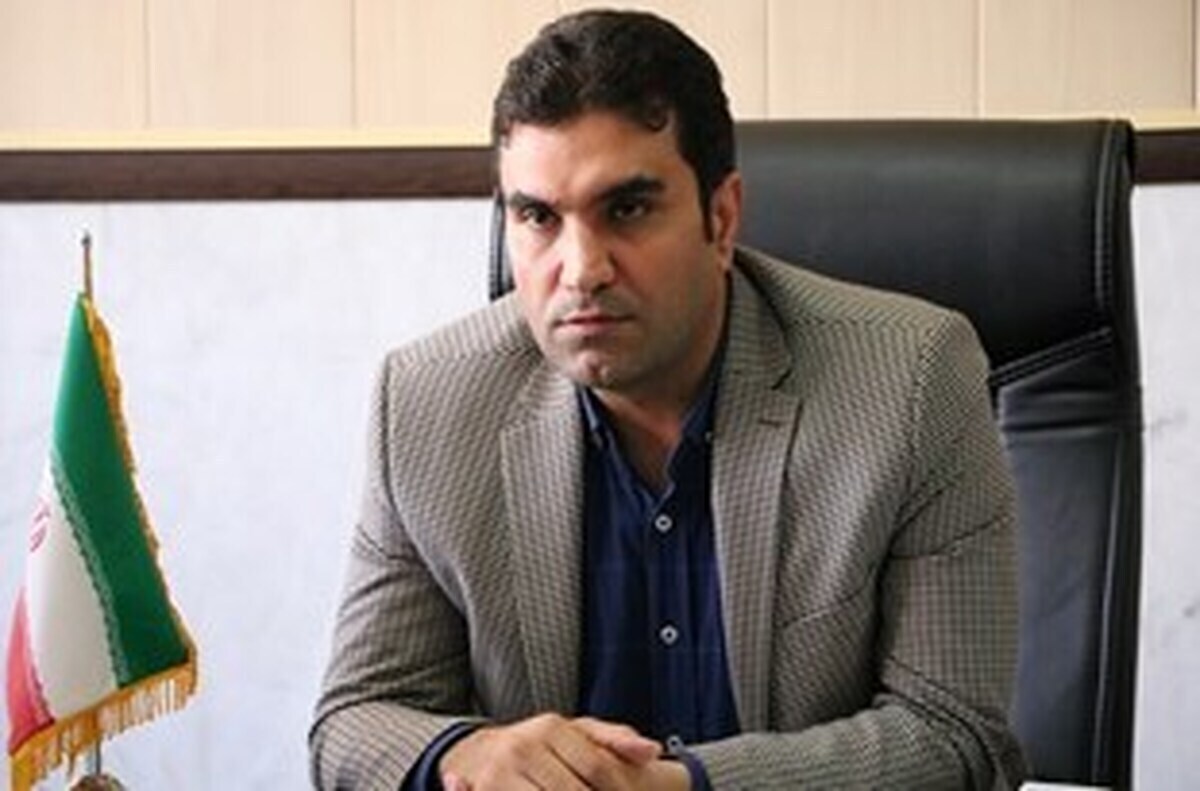 پوردهقان: خودرو کاملا ملی نداریم  تراز منفی ارزی صنعت خودرو