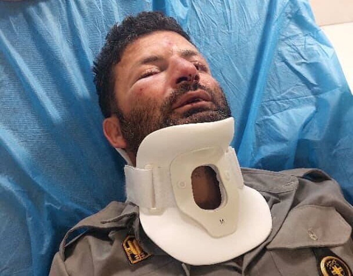 ضرب و شتم محیط‌بان شمیرانات توسط متعرضان غیرمجاز  ضاربان روانه زندان شدند