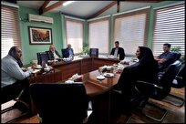 تبیین برنامه‌های مشترک معاونت امورهنری و بنیاد ملی پویانمایی در حوزه کودک و نوجوان