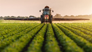 برنامه‌ریزی کشاورزی ایران و نقشه راه برنامه هفتم/از خودکفایی تا چالش‌های اجرایی سیاست‌گذاران و مجریان